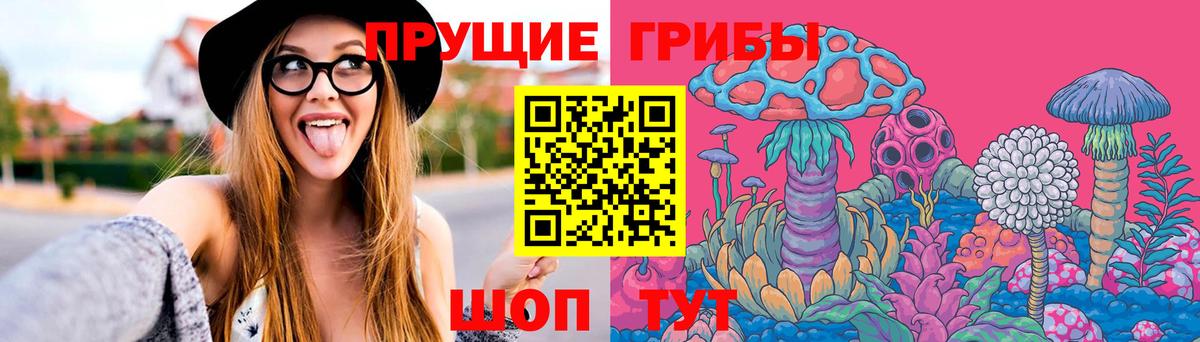 Галлюциногенные грибы прущие грибы  Вход с VPN  Галлюциногенные грибы прущие грибы  Братск 